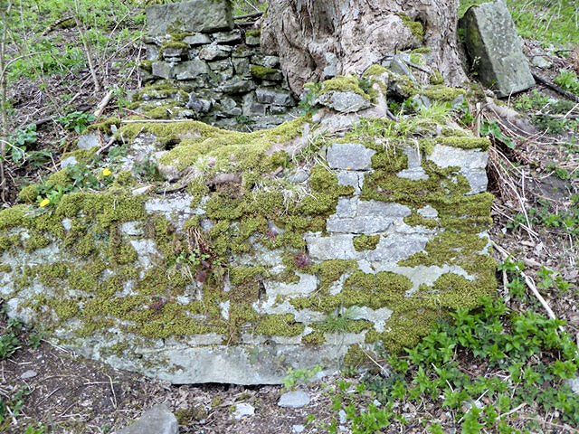 lime kiln